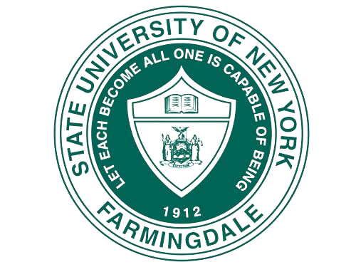 image1-removebg-preview